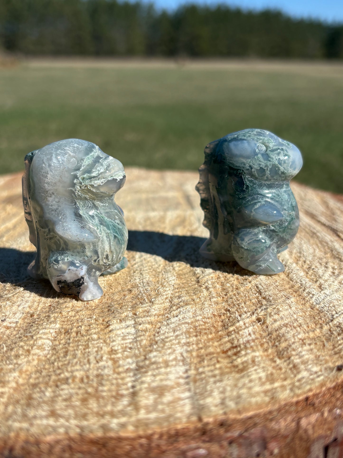 Moss Agate Dino