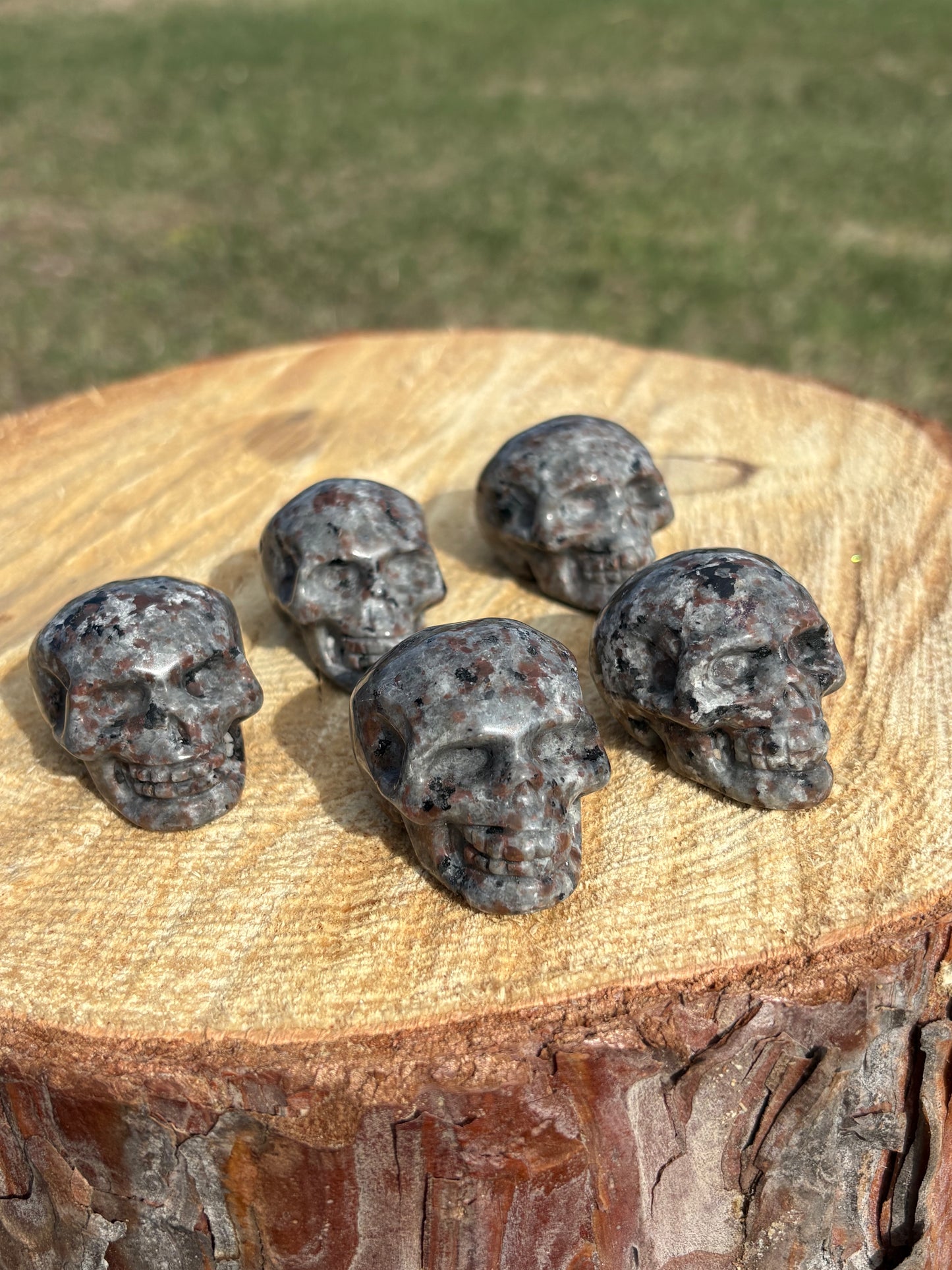 Skulls