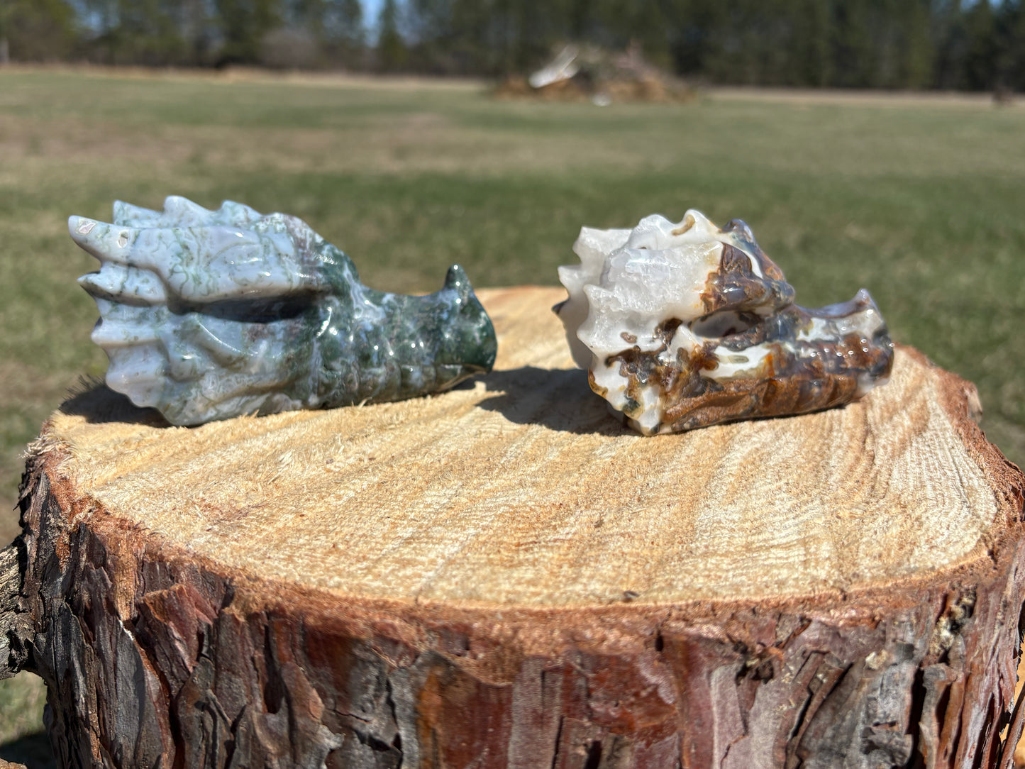 Moss Agate Dragon Heads