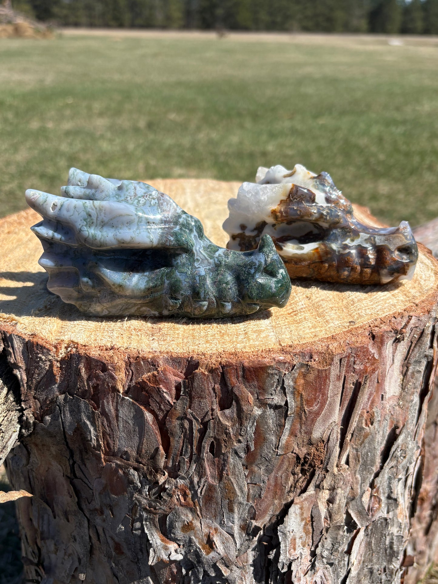 Moss Agate Dragon Heads