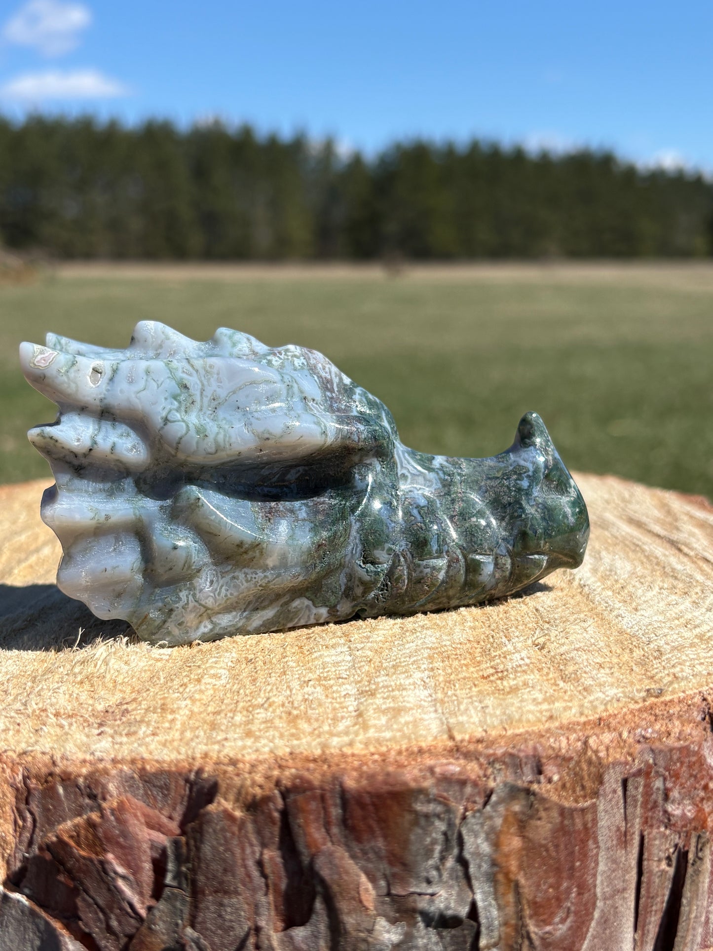 Moss Agate Dragon Heads