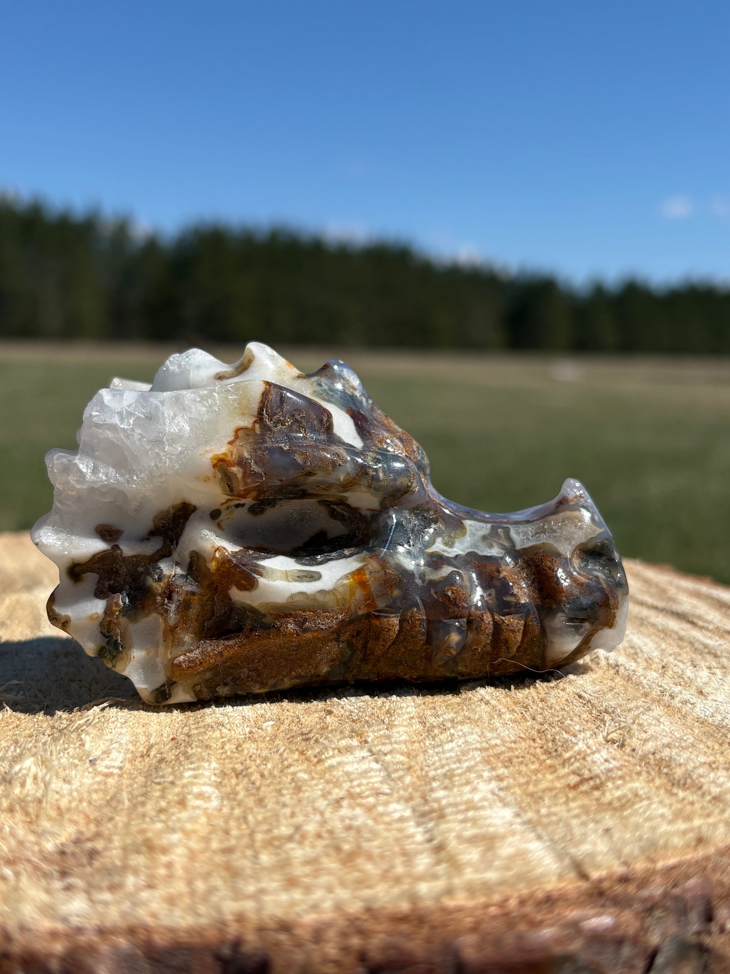Moss Agate Dragon Heads