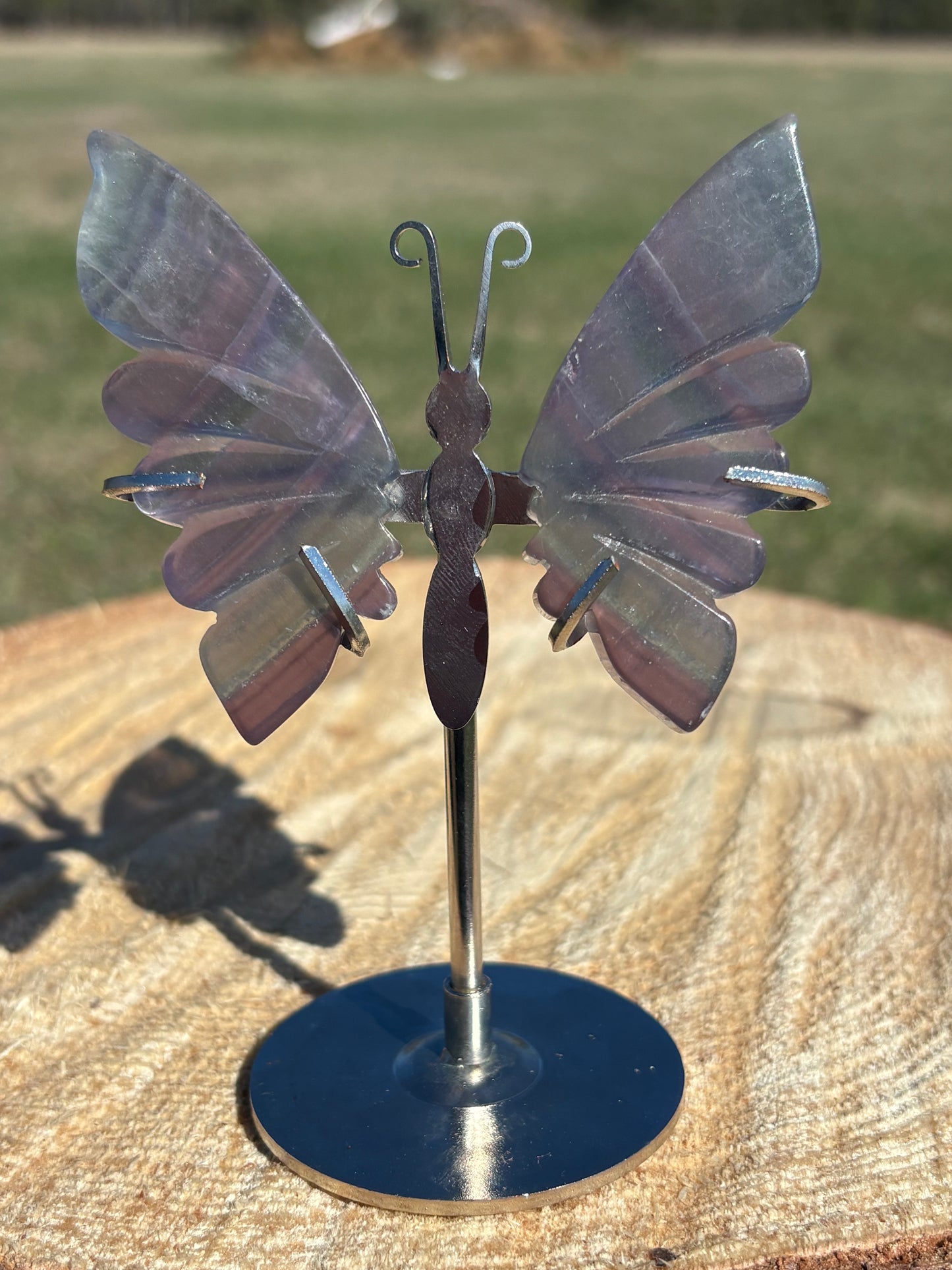 Butterfly on Stand