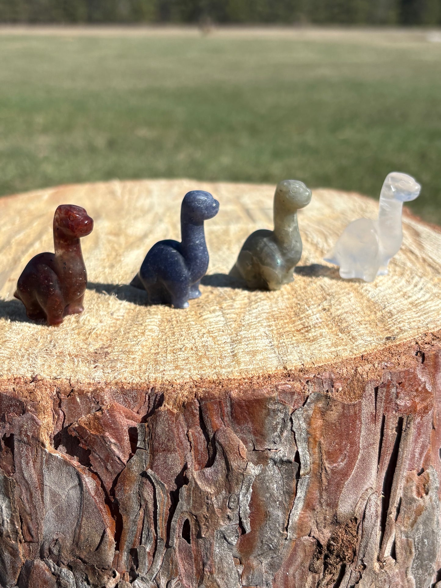 Mystery Animal Crystal
