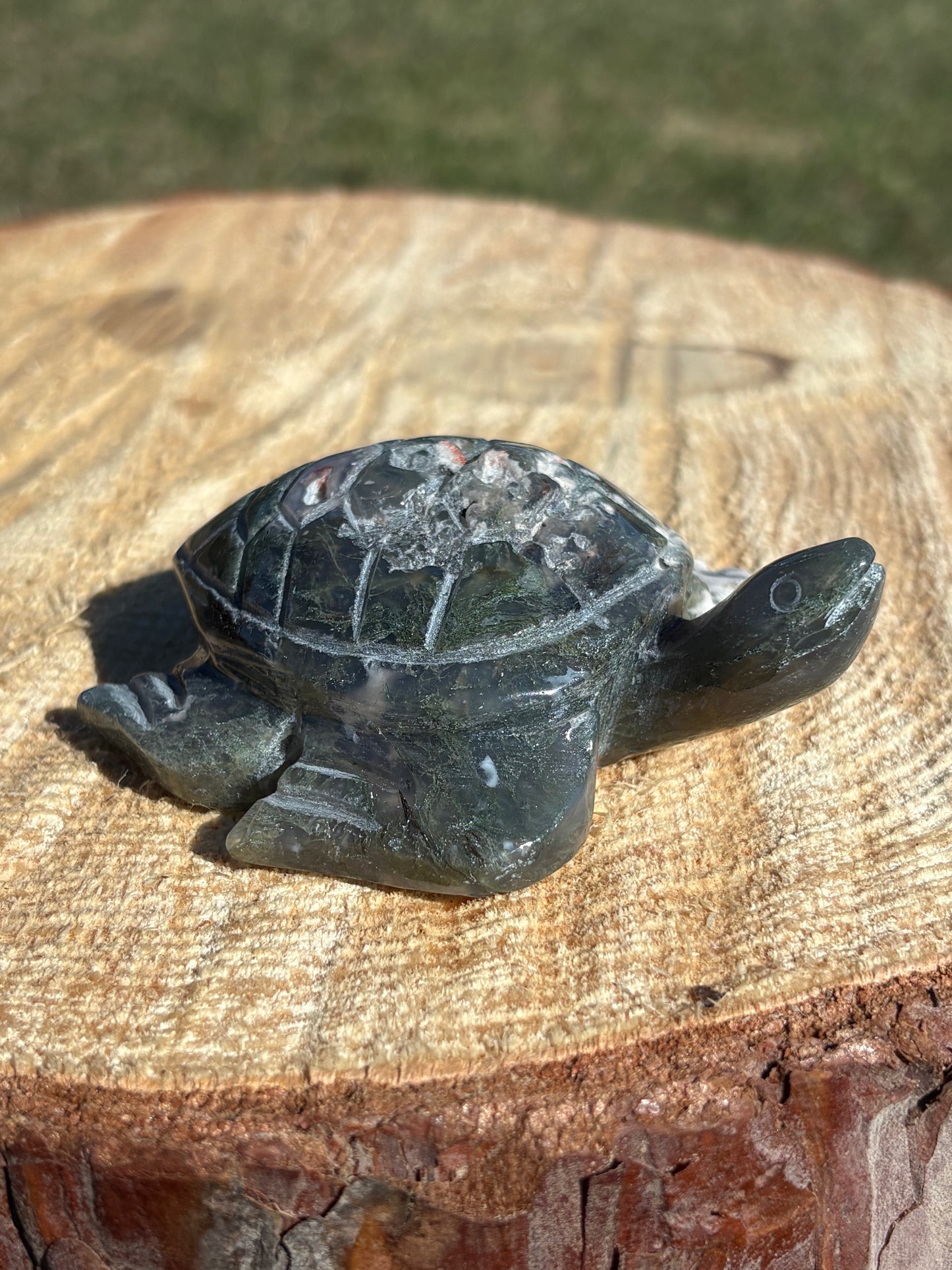 Moss Agate Turtle