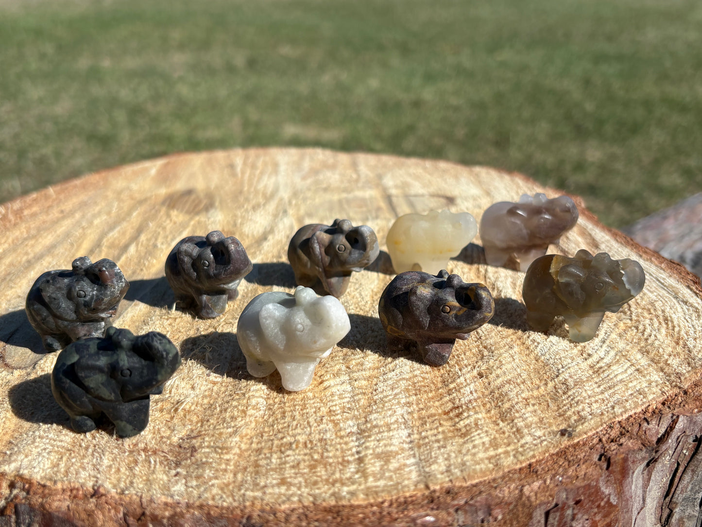Mystery Animal Crystal