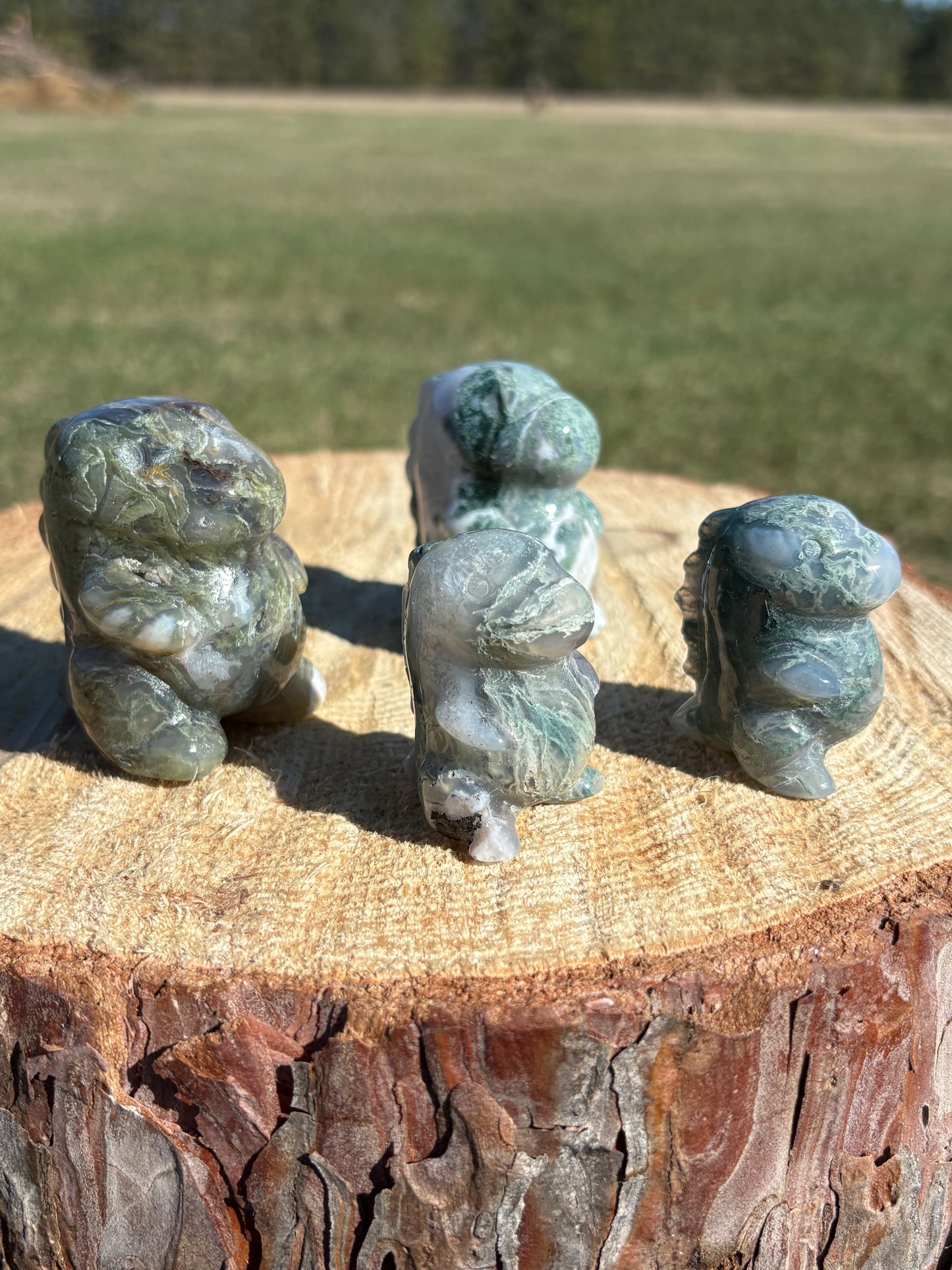 Moss Agate Dino