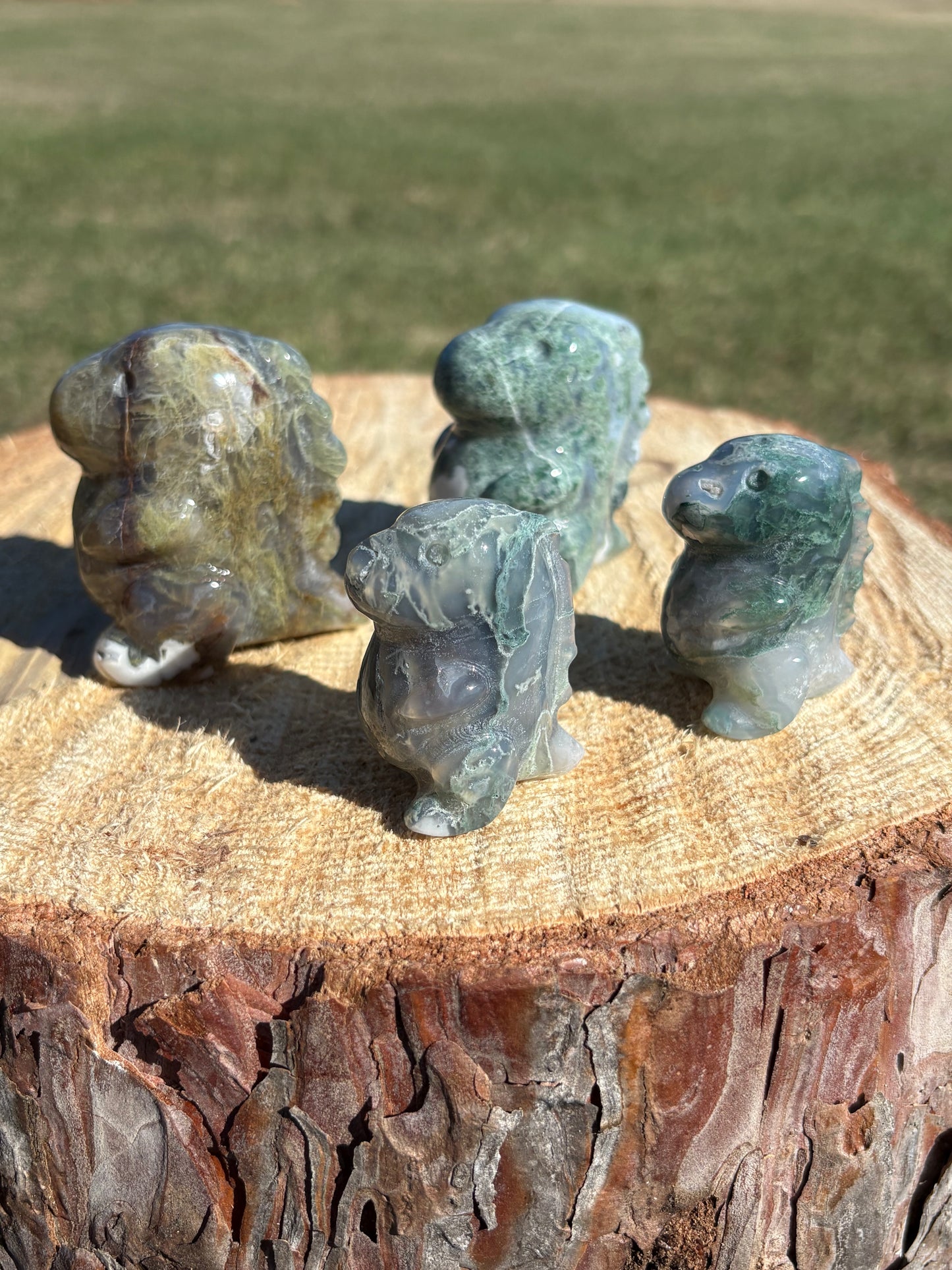Moss Agate Dino