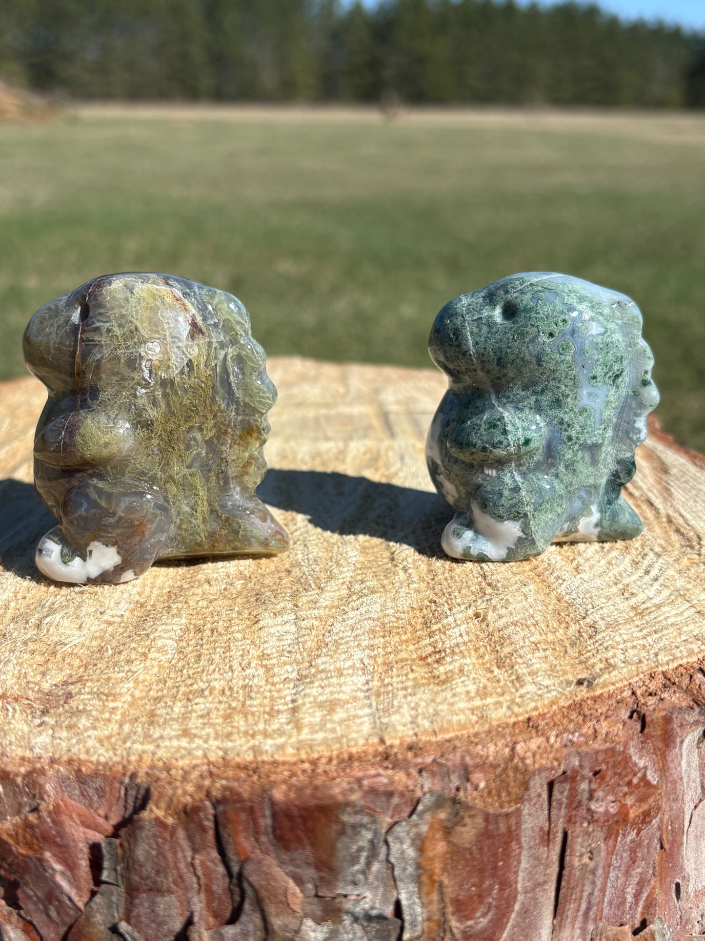 Moss Agate Dino