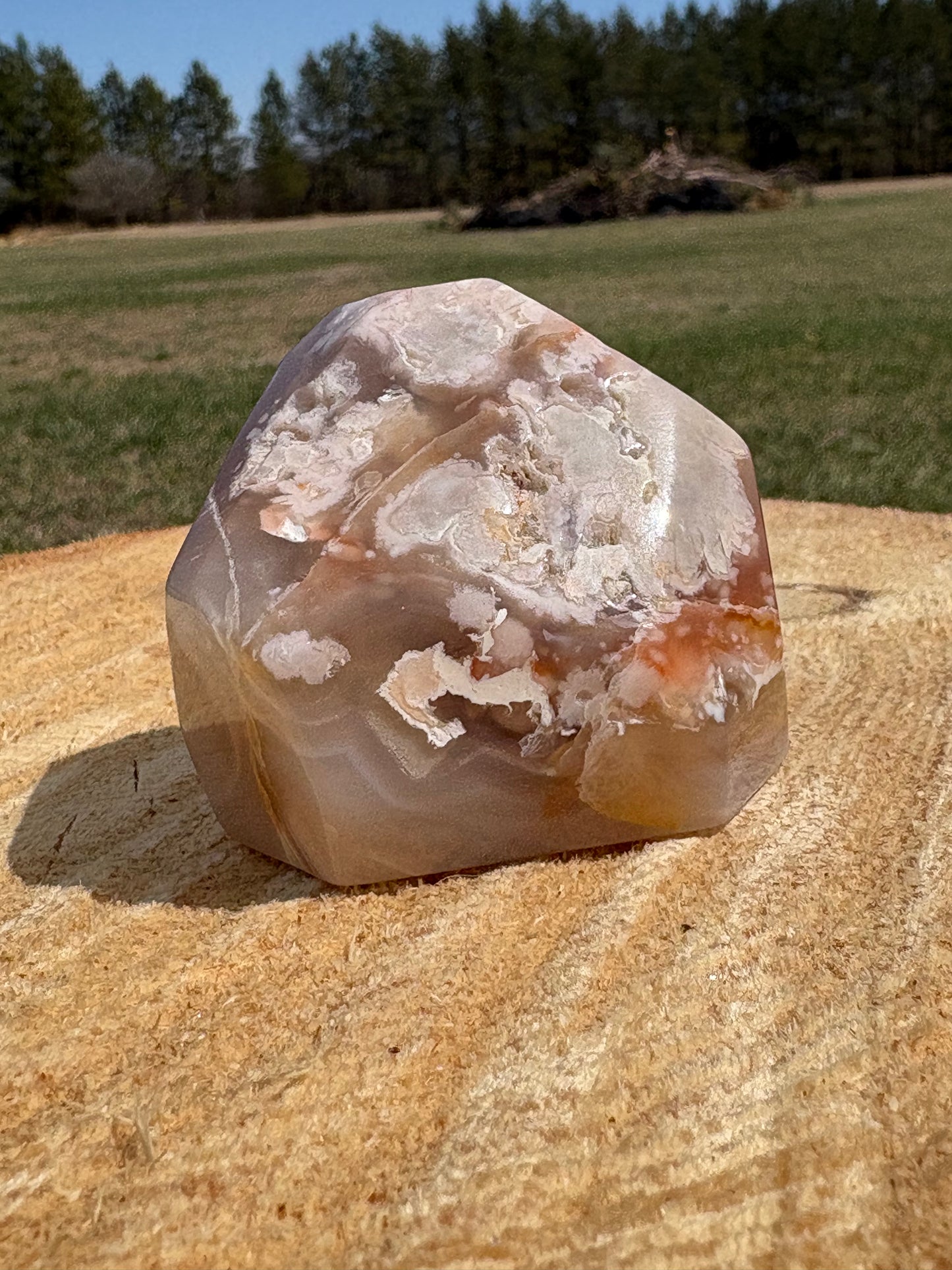 Flower Agate Free Form