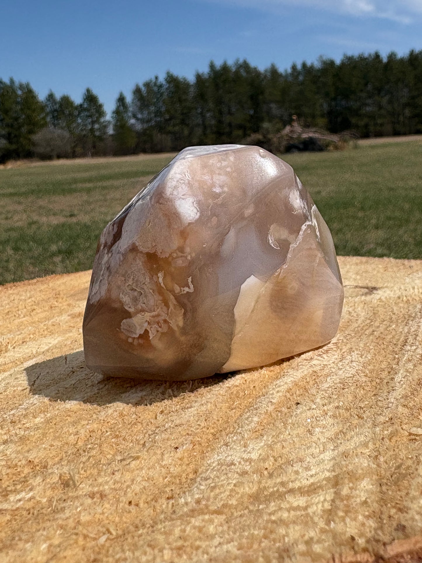 Flower Agate Free Form