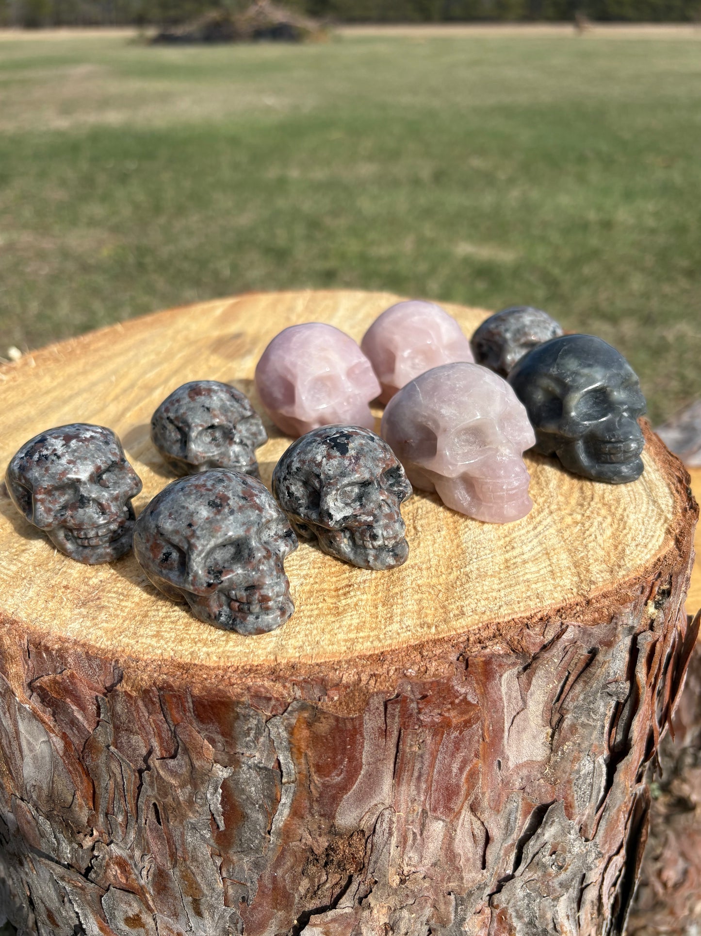 Skulls