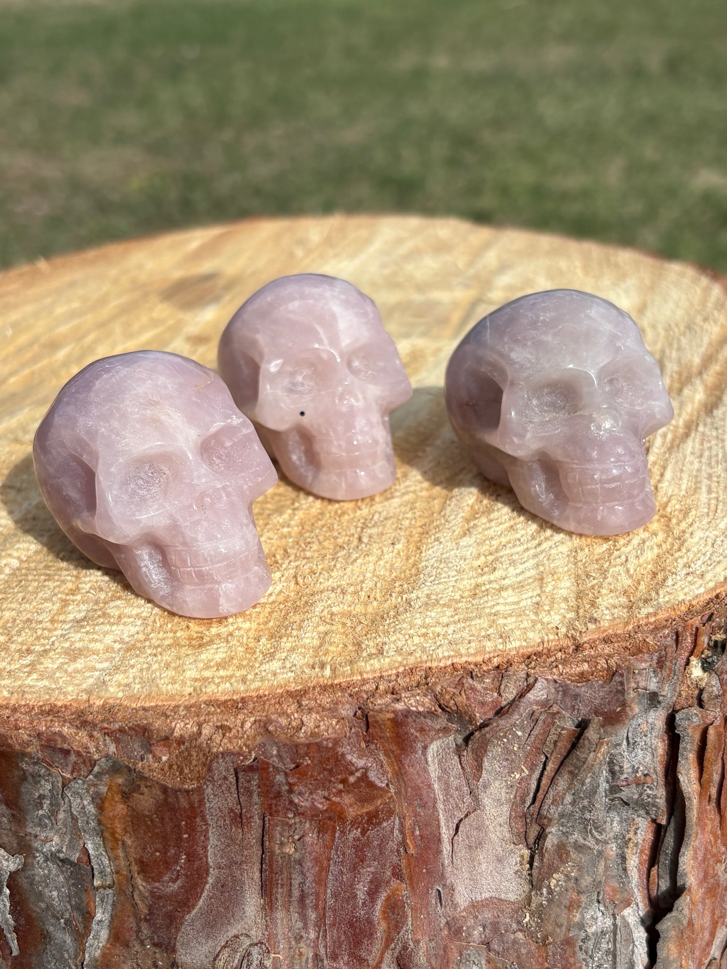 Skulls