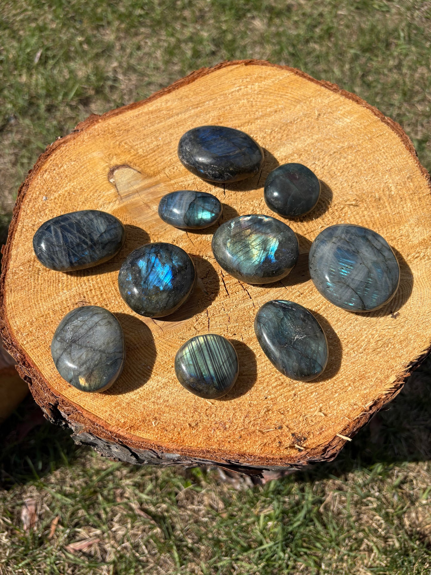 Labradorite Palm Stone *High Flash*