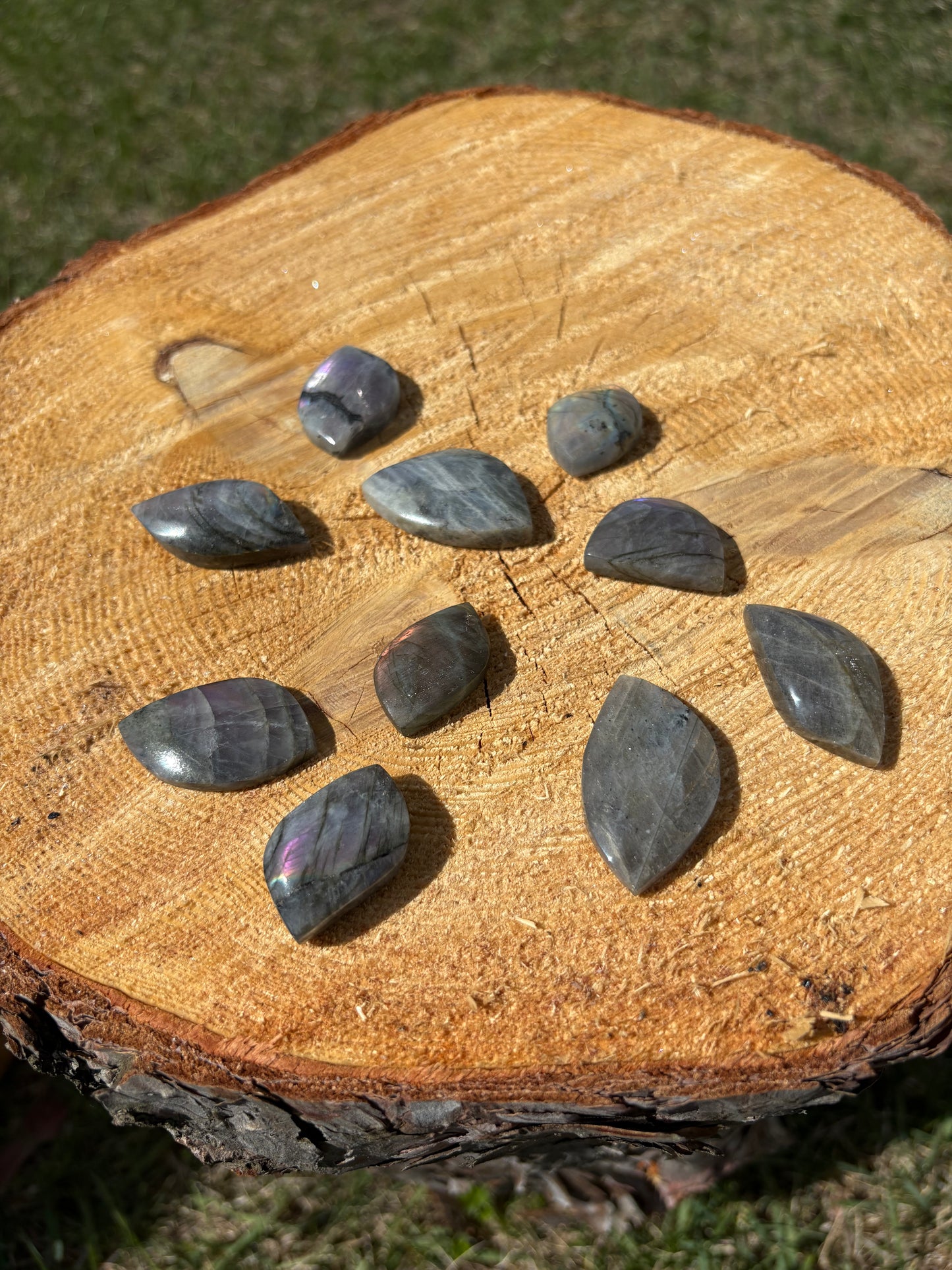 Labradorite Leafs *High Flash*